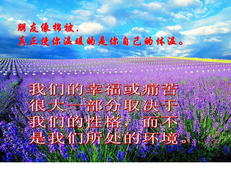 《心灵鸡汤感悟》PPT课件.ppt_第3页