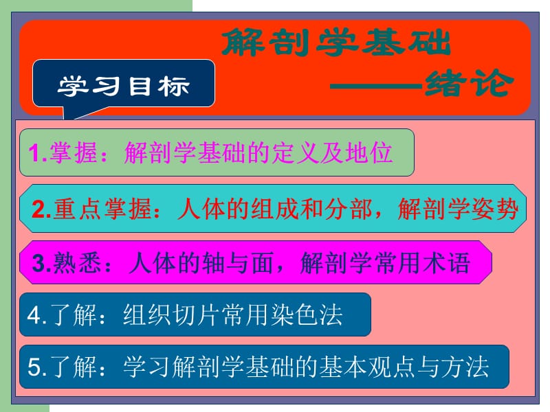 《解剖学基础绪论》PPT课件.ppt_第2页