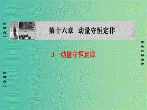 高中物理 第16章 動量守恒定律 3 動量守恒定律課件 新人教選修3-5.ppt