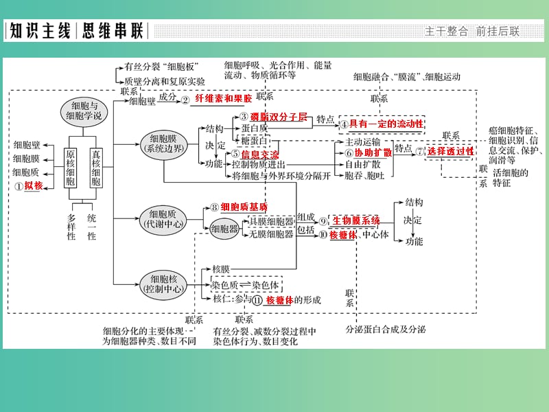 高考生物二轮复习 第一单元 生命系统的细胞基础 专题二 细胞的结构基础课件.ppt_第2页