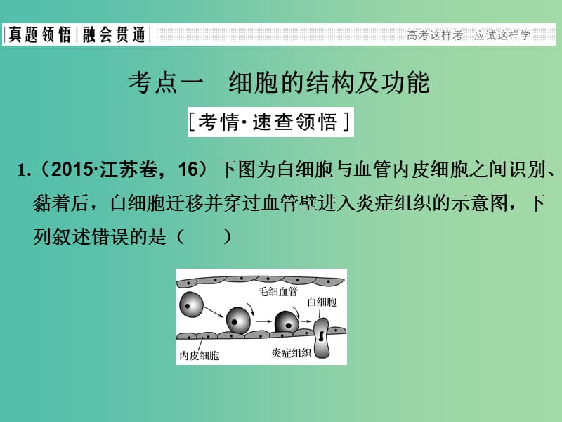 高考生物二轮复习 第一单元 生命系统的细胞基础 专题二 细胞的结构基础课件.ppt_第3页