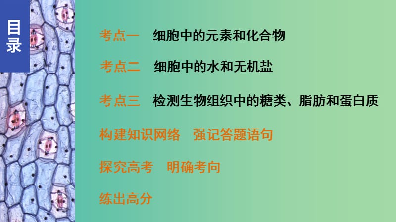 高考生物 细胞中的元素和化合物　课件 新人教版必修1.ppt_第2页