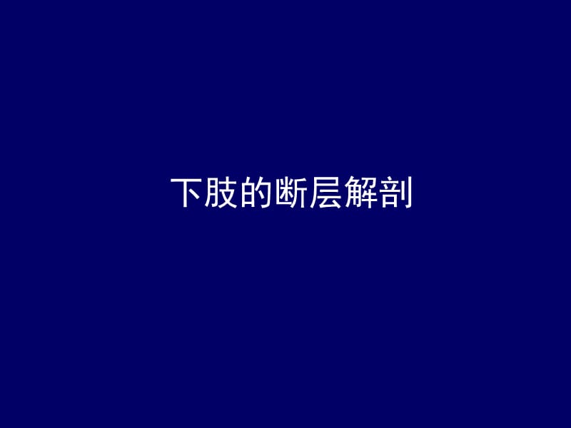 下肢的断层解剖-人体断层解剖学-课件.ppt_第1页