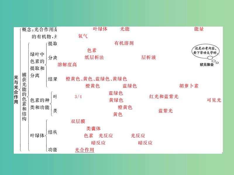 高考生物 第5章 第3讲 能量之源 光与光合作用课件 新人教版必修1.ppt_第3页