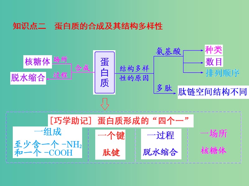 高考生物一轮复习 第一单元 第4讲 生命活动的主要承担者-蛋白质课件 新人教版必修1.ppt_第3页