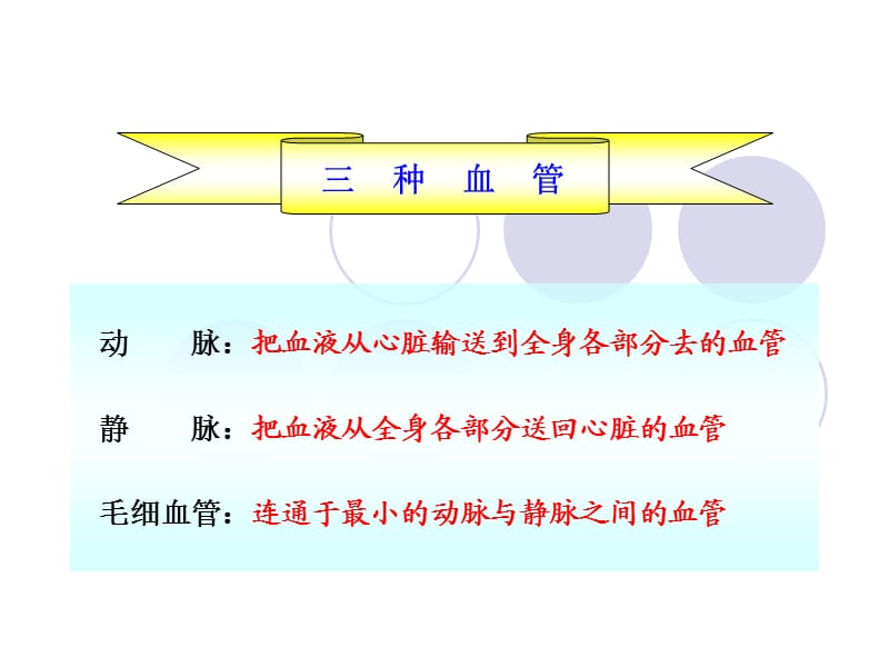 七年级下册生物血管.ppt_第2页