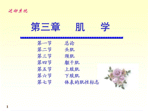 《運(yùn)動(dòng)解剖學(xué)》第6次課：肌學(xué).ppt