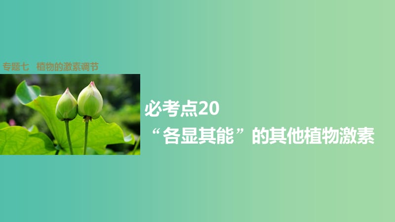 高考生物大二轮总复习 增分策略 专题七 必考点20“各显其能”的其他植物激素课件.ppt_第1页