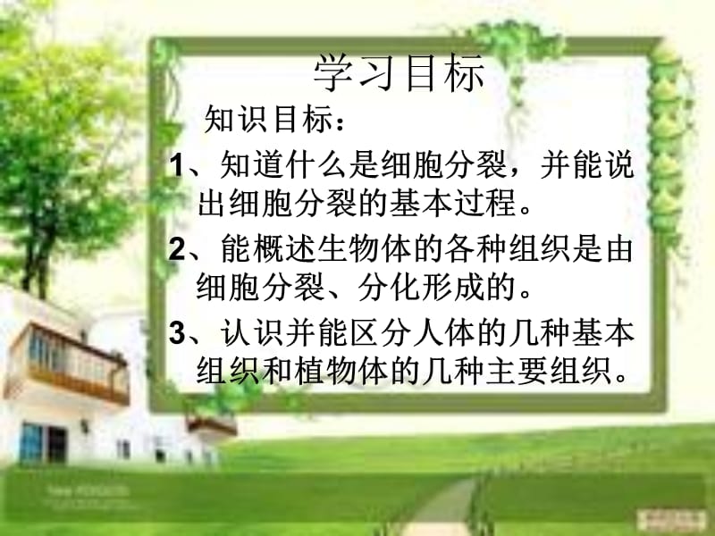 《细胞分裂与分化》PPT课件.ppt_第2页