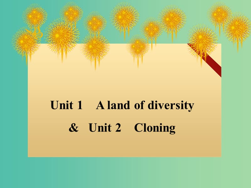 高考英语 Unit 1 A land of diversity课件 新人教版选修8.ppt_第1页