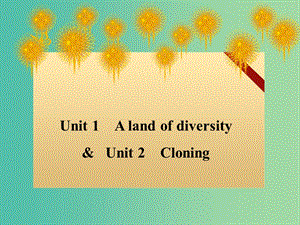 高考英語(yǔ) Unit 1 A land of diversity課件 新人教版選修8.ppt