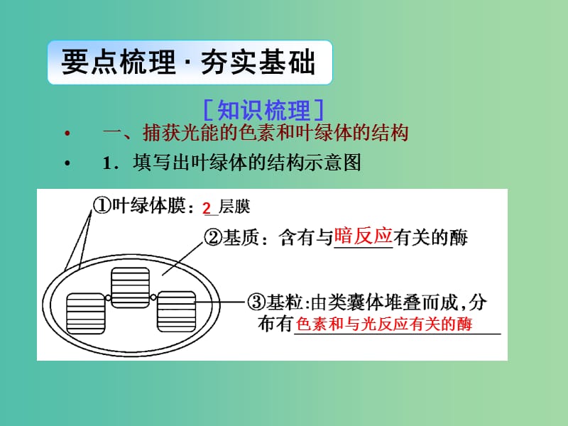 高考生物一轮总复习 第三单元 第三讲 能量之源-光与光合作用课件.ppt_第2页