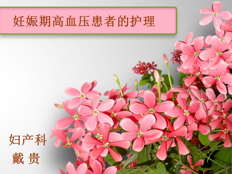 妊高症患者的护理.ppt_第1页