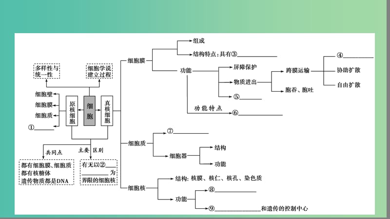 高考生物大二轮专题复习 专题一 细胞的分子组成和结构基础 1.2 细胞的基本结构课件.ppt_第3页