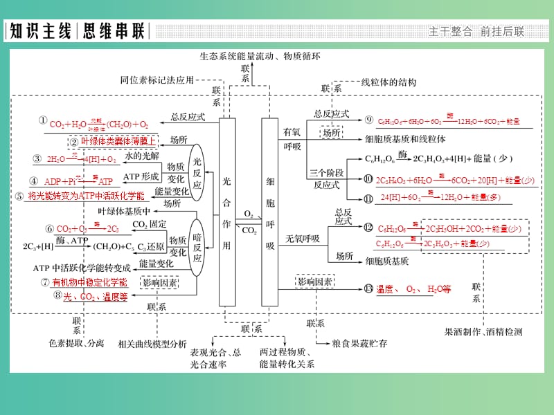 高考生物二轮复习 第二单元 生命系统的代谢基础 专题二 两大基础代谢——光合作用和细胞呼吸课件.ppt_第2页