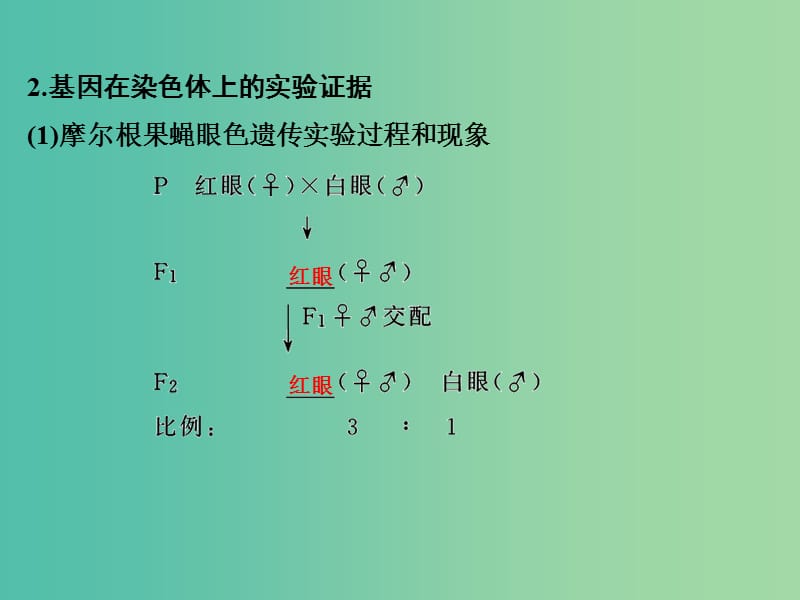 高考生物 第五单元 专题十一 伴性遗传与人类遗传病课件.ppt_第3页