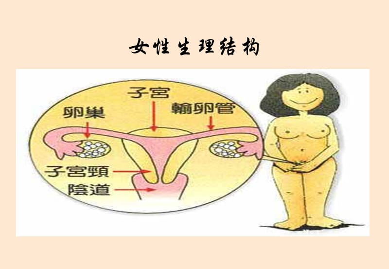 班会初中女生生理卫生讲座PPT课件_第3页