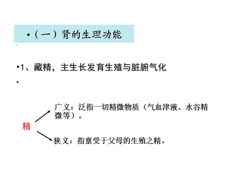 中医学课件五脏-肾.ppt_第3页