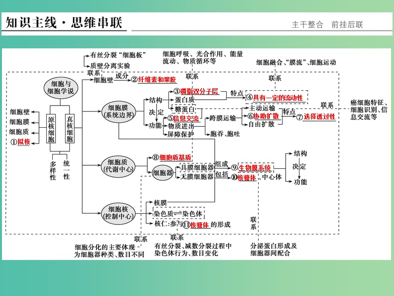 高考生物二轮复习 第一单元 专题二 细胞的结构基础课件.ppt_第2页