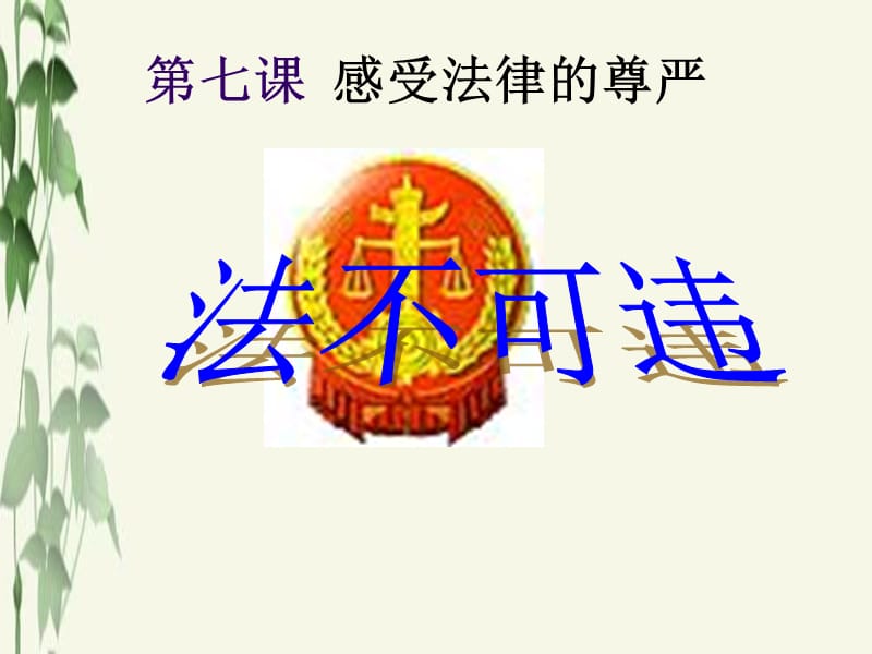 《法不可违》PPT课件.ppt_第2页