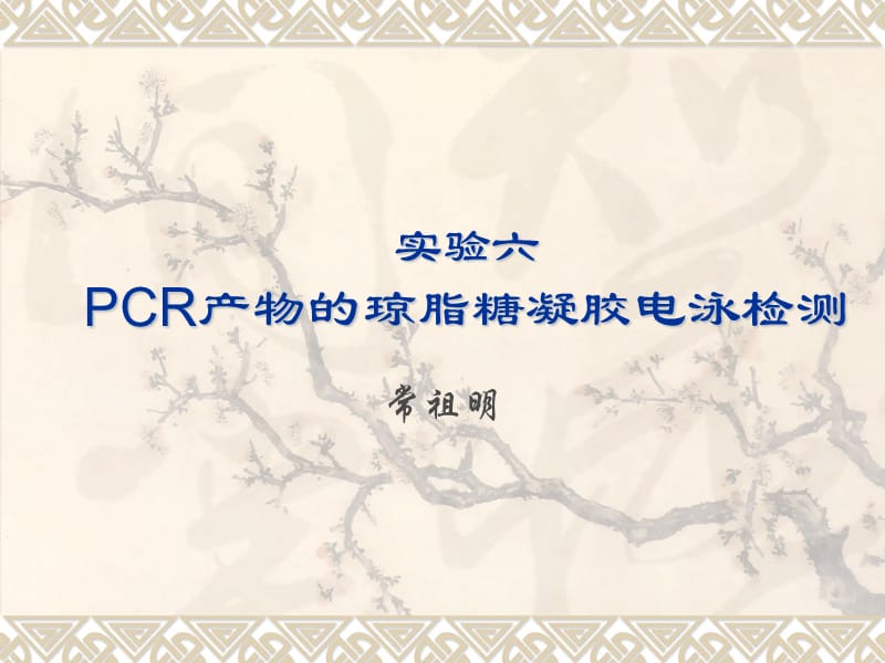 实验六PCR产物的琼脂糖凝胶电泳检测.ppt_第1页