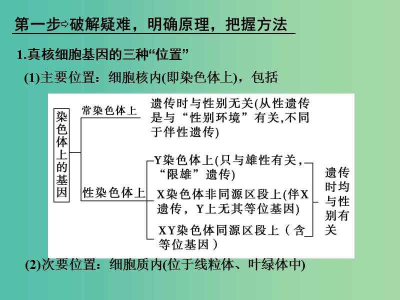 高考生物一轮复习 第6单元 遗传的分子基础 补上一课5 基因位置的确认及遗传实验设计课件 新人教版.ppt_第2页