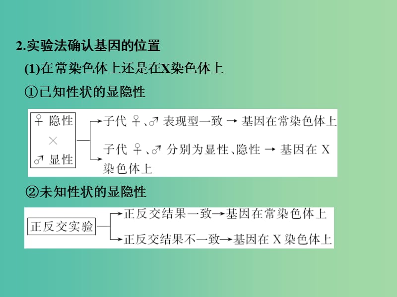 高考生物一轮复习 第6单元 遗传的分子基础 补上一课5 基因位置的确认及遗传实验设计课件 新人教版.ppt_第3页