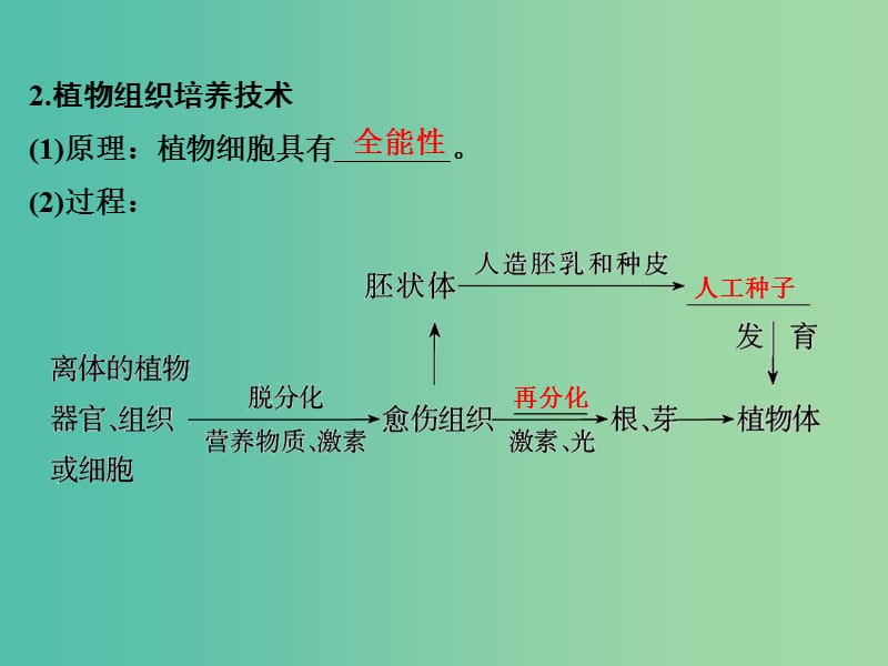 高考生物 第十一单元 专题二十六 克隆技术课件.ppt_第3页