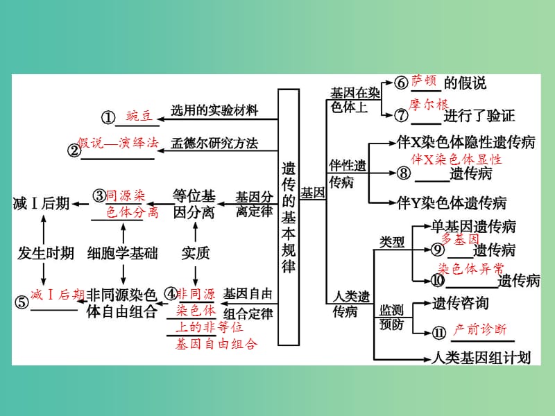 高考生物二轮复习 专题4 遗传、变异和进化 2 遗传的基本定律和伴性遗传课件.ppt_第3页