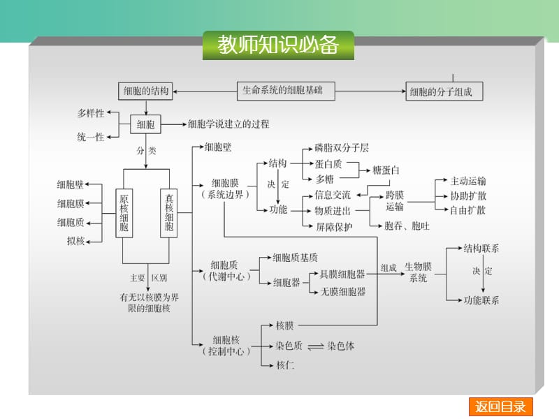 高考生物二轮复习 专题讲练 第5单元 生命活动的调节 9 人与脊椎动物的稳态和调节课件.ppt_第3页