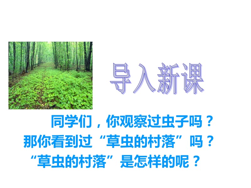 （课堂教学课件1）草虫的村落PPT课件_第2页