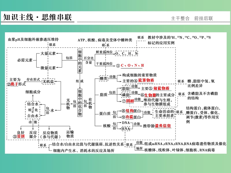 高考生物二轮复习 第一单元 专题一 细胞的物质基础课件.ppt_第2页