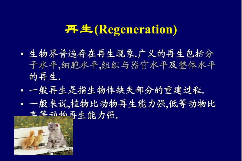 动物的再生、干细胞与再生医学_第3页