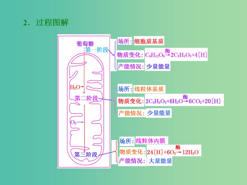 高考生物一轮复习 第三单元 第2讲 ATP的主要来源-细胞呼吸课件 新人教版必修1.ppt_第3页