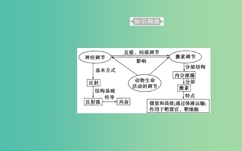 高考生物专题十三动物生命活动的调节考点1人体神经调节的结构基础和调节过程课件.ppt_第3页