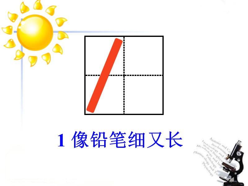 《认识10以内的数》课件.ppt_第3页