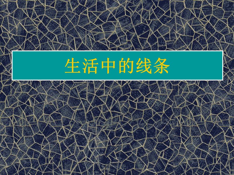 《生活中的线条》PPT课件.ppt_第1页