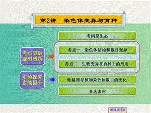 高考生物一輪復習 第七單元 第2講 染色體變異與育種課件.ppt