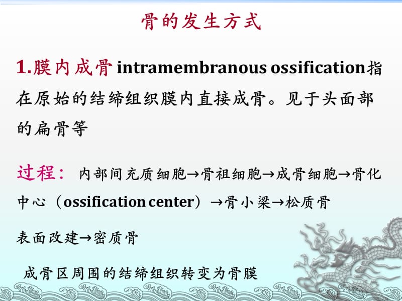 骨的发生_第3页