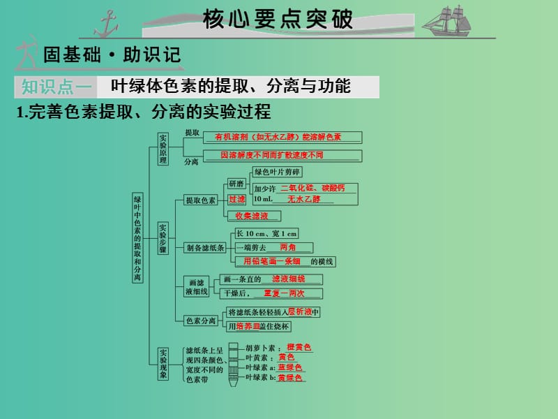 高考生物 第二单元 专题六 光合作用课件.ppt_第2页