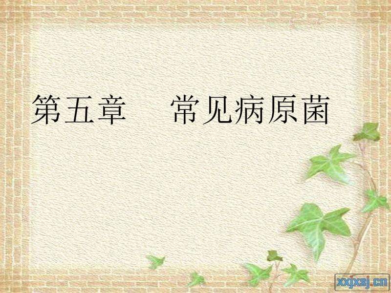 《常见病原菌》PPT课件.ppt_第1页