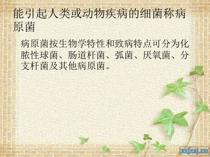 《常见病原菌》PPT课件.ppt_第2页