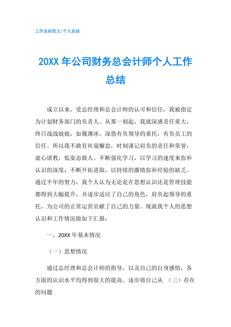 20XX年公司财务总会计师个人工作总结.doc_第1页