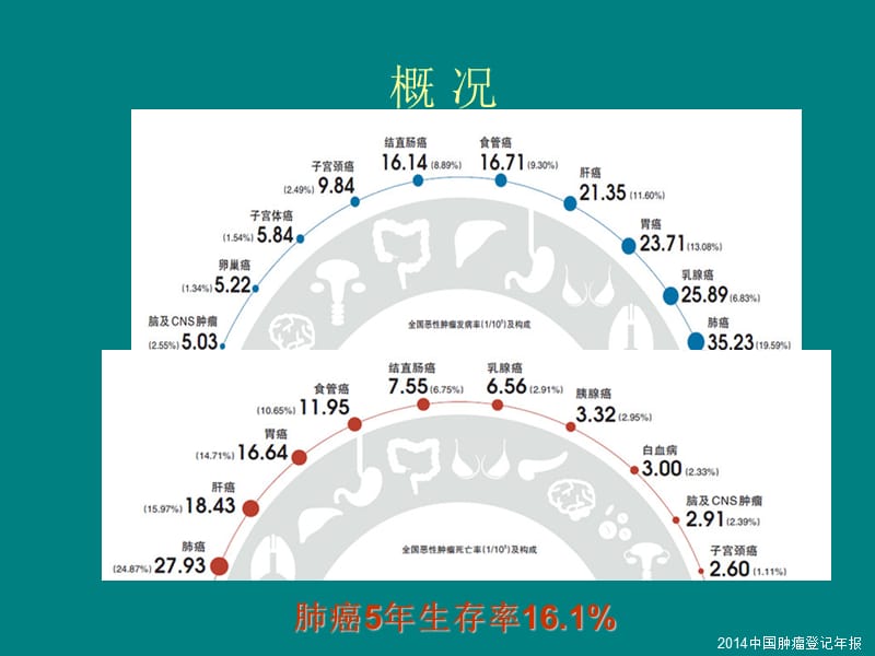 非小细胞肺癌靶向治疗新进展_第2页