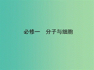 高考生物 4-2細胞的分化、衰老和凋亡、癌變課件 新人教版必修1.ppt