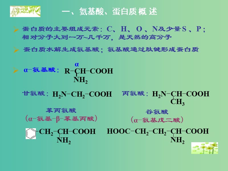 高中化学 5.2 氨基酸 蛋白质课件 苏教版选修5.ppt_第3页