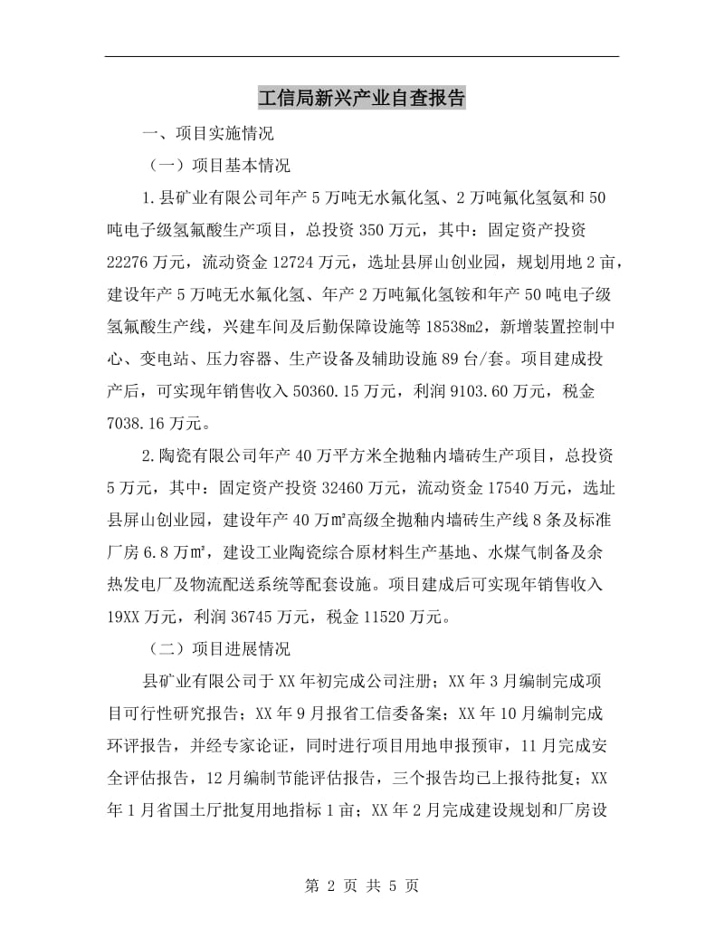 工信局新兴产业自查报告.doc_第2页