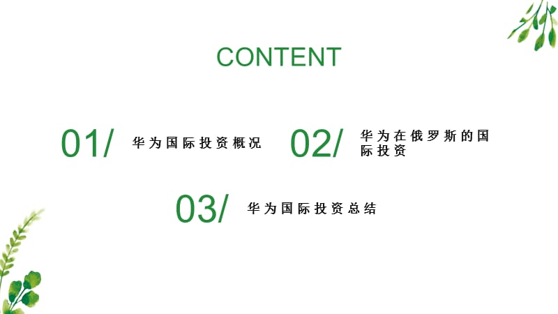 华为对外投资案例.ppt_第2页