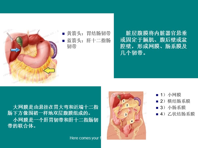 腹膜及肠系膜病变影像学分析_第3页