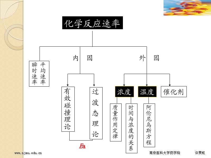 大学化学反应速率.ppt_第3页